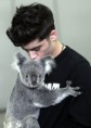 /album/fotogaleria/harry-of-one-direction-meets-a-koala-bear-2-jpg/